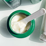 MIRRA Elements: Ginkgo & Biloba Mask