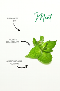 MIRRA PROFESSIONAL: Detox Treatment Kit- Shampoo + Mask + Leave-In