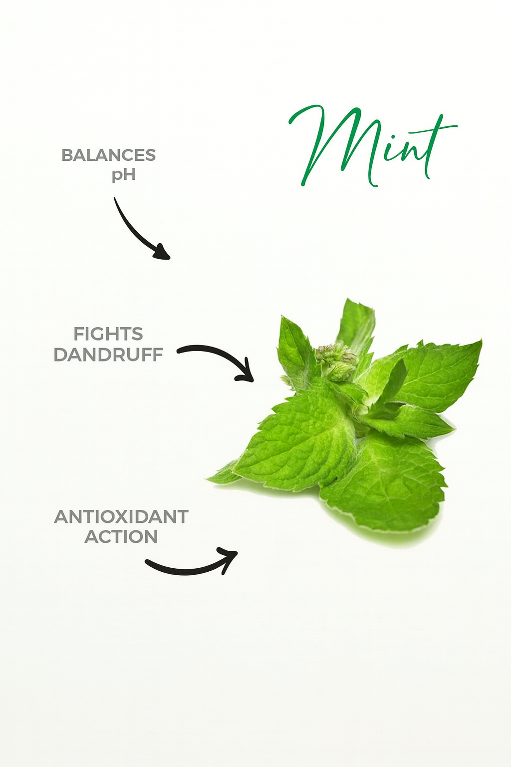 MIRRA PROFESSIONAL: Detox Treatment Kit- Shampoo + Mask + Leave-In